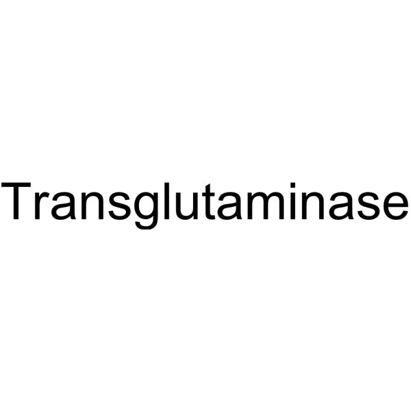 Transglutaminase 80146-85-6